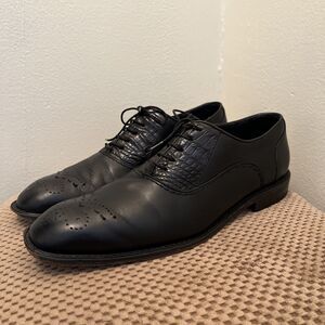 Belvedere Men’s Shoes Alligator & Calf Skin Leather Wingtip Dress Shoe, Black- 8